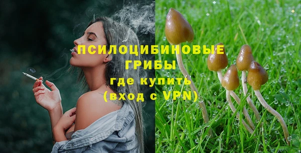 первитин Заводоуковск